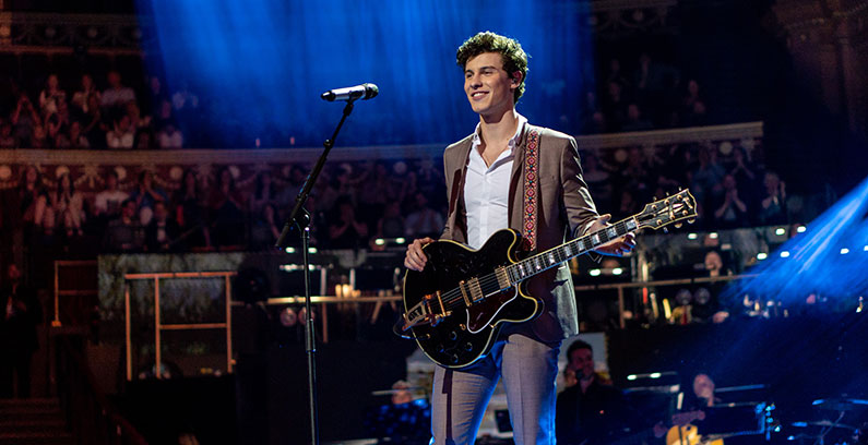 shawn-mendes-bts-collab