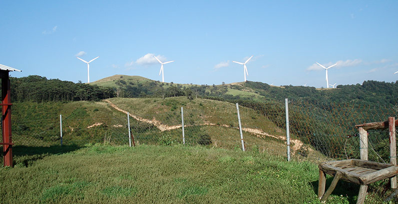 Grüne-Energie-in-Korea