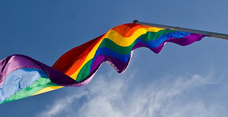 Som-Hein-bisexuell