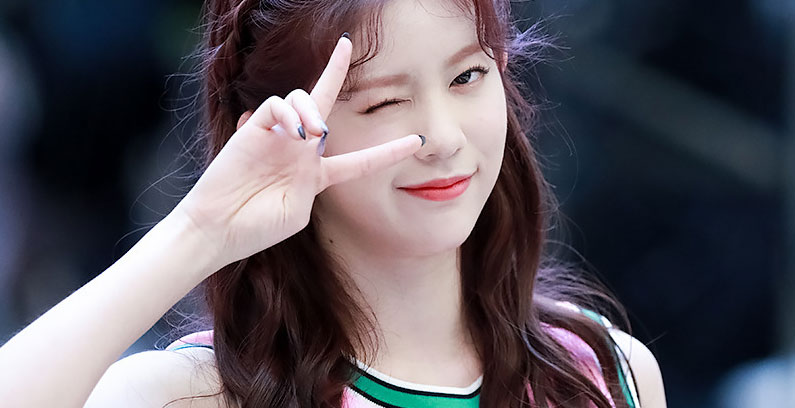 Daisy-Momoland