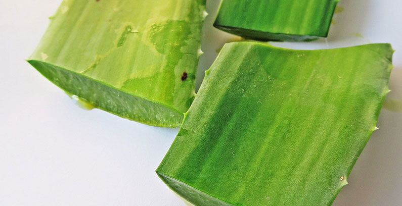 Aloe-Vera-Gel