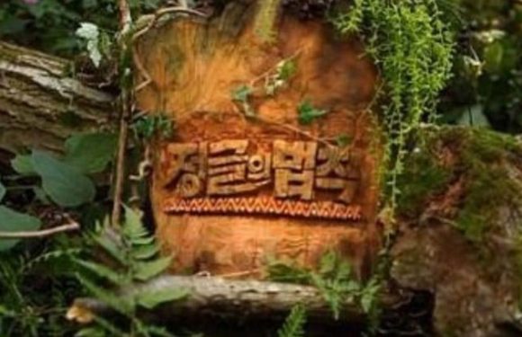 Law of the Jungle ist bald wieder zurück im TV