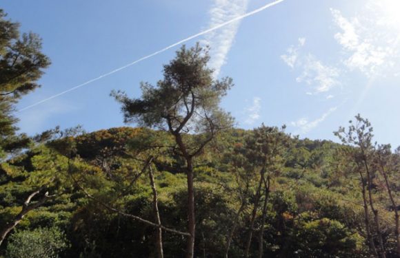 Sieben Städte und Bezirke wurden zu Sonderkatastrophenzonen erklärt