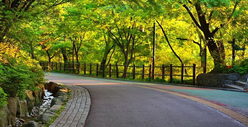 Seoul-7