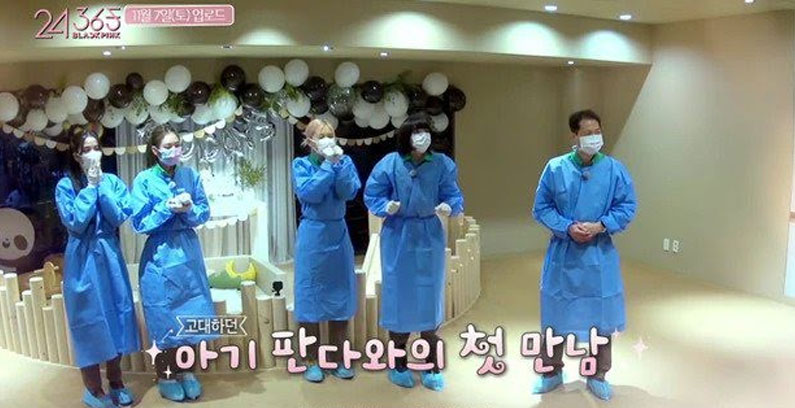 Panda-Episode-BLACKPINK