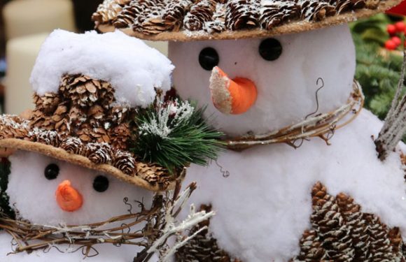 Süße Schneemänner überall – seht euch hier ein paar Fotos an