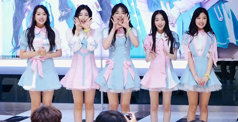 ELRIS