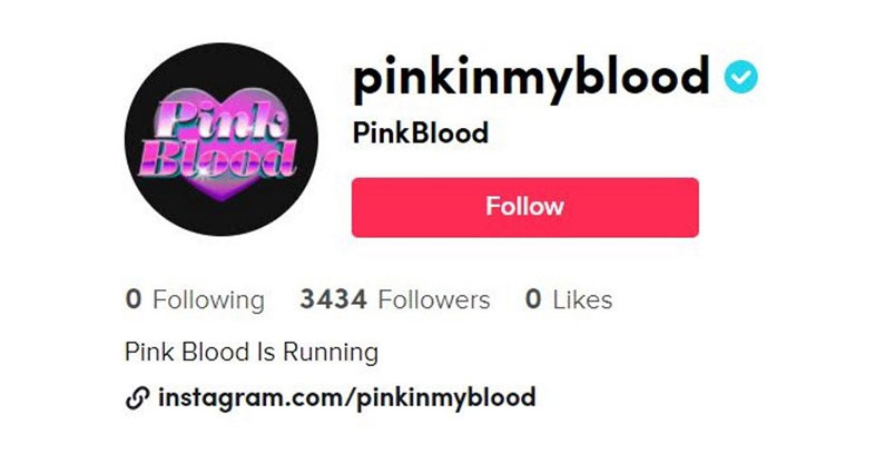 pinkinmybloog