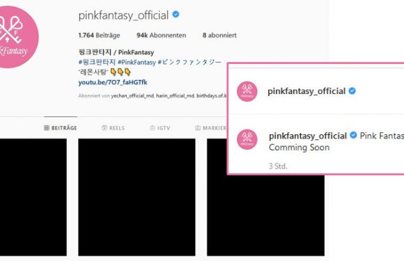 PinkFantasy haben spontan einen Teaser veröffentlicht