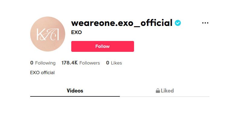 EXO haben nun einen offiziellen TikTok Account