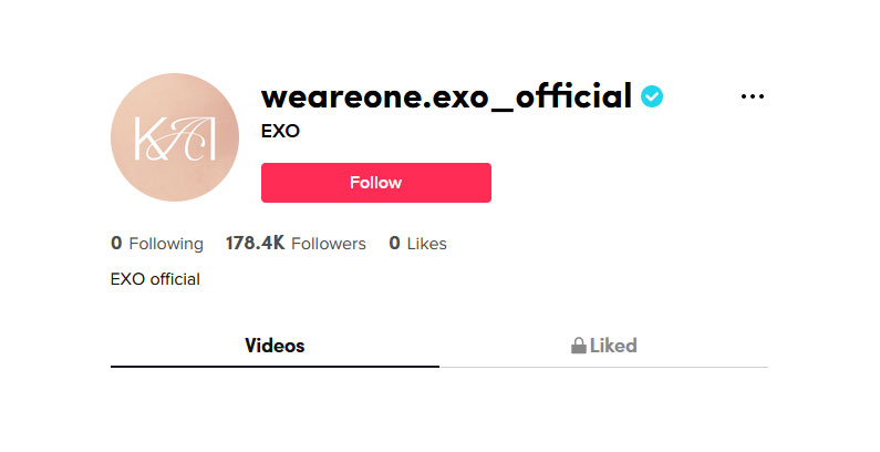 EXO-TikTok