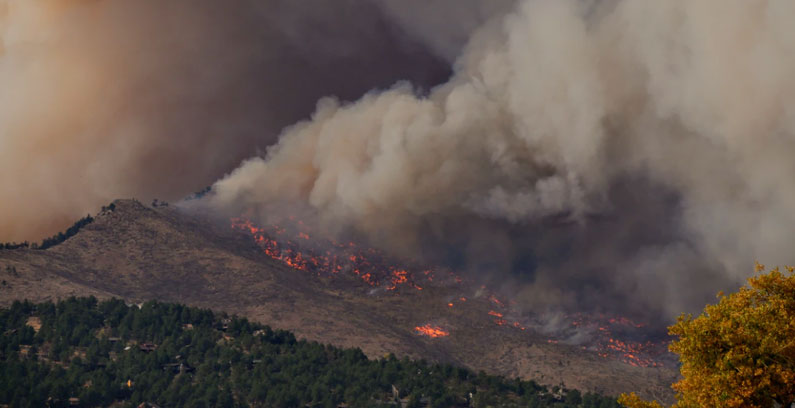 Wildfire